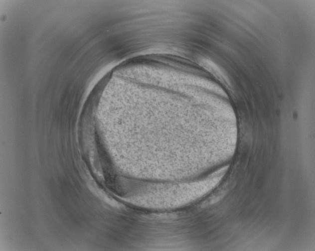 X0000076320900200610272001