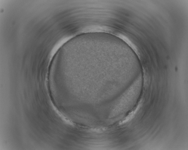 X0000076320901200610272001