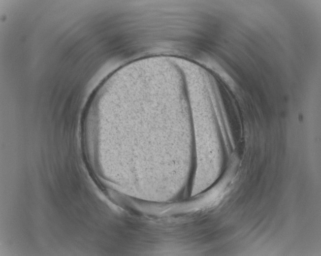 X0000076320902200610272001