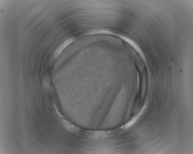 X0000076320905200610272001