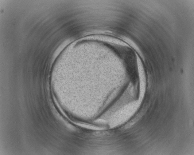 X0000076320906200610272001