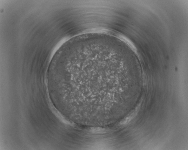 X0000076320907200610272001