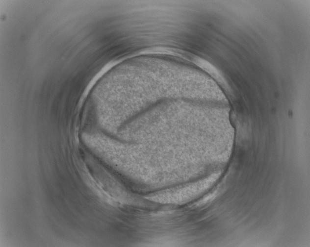 X0000076320908200610272001