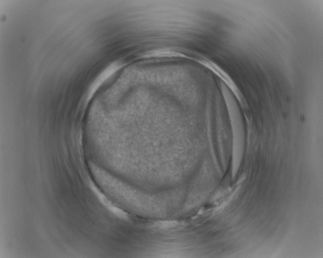 X0000076320909200610272001