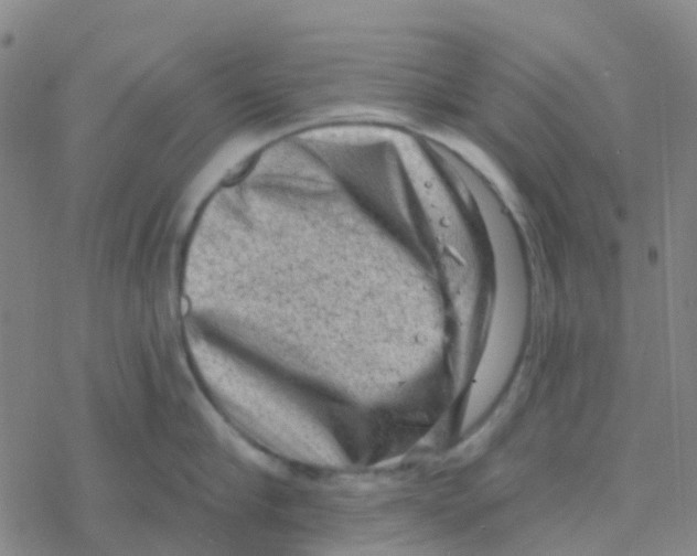 X0000076320910200610272001