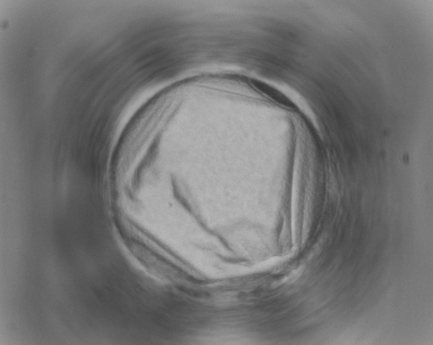 X0000076320911200610272001