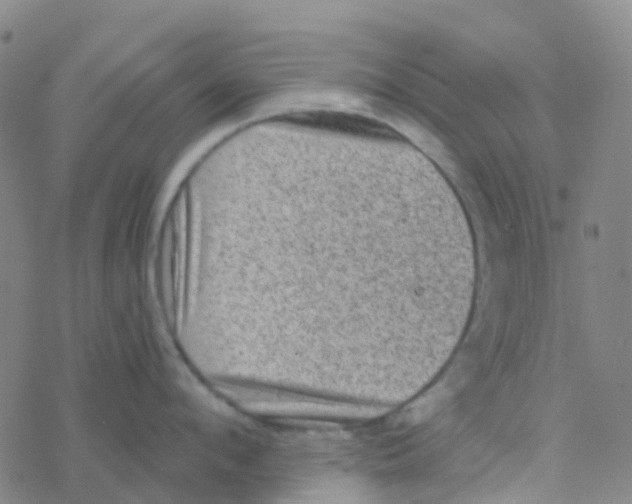 X0000076320912200610272001