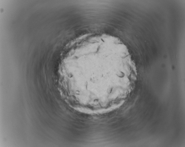 X0000076320913200610272000