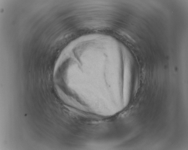 X0000076320917200610272000