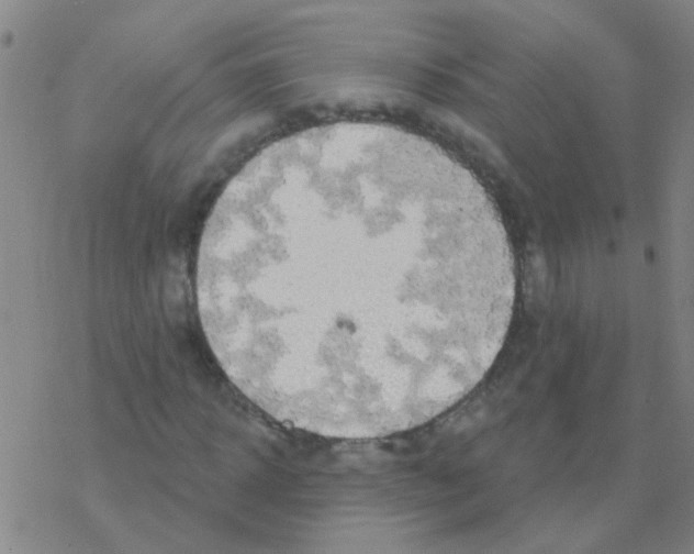 X0000076320918200610272000