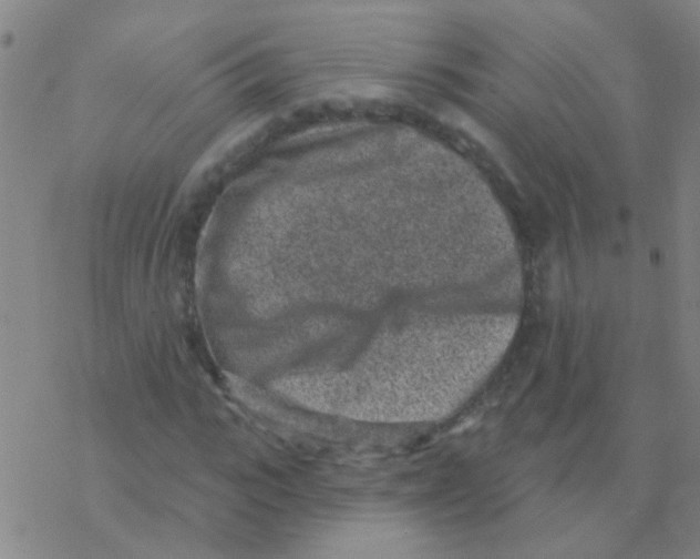 X0000076320919200610272000