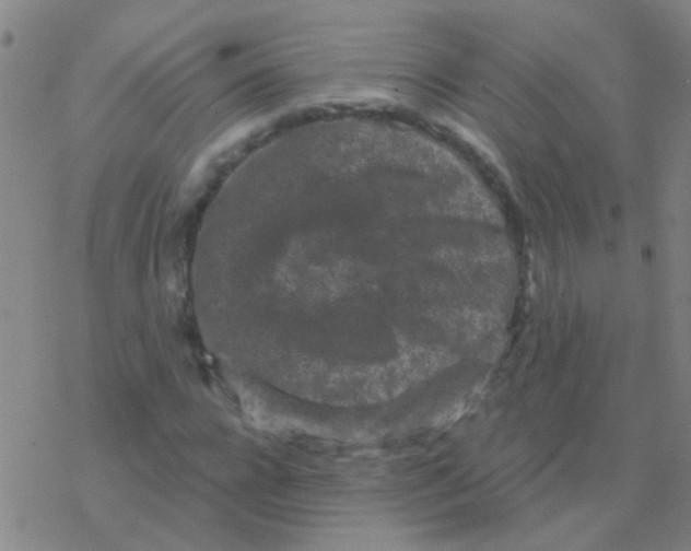 X0000076320920200610272000