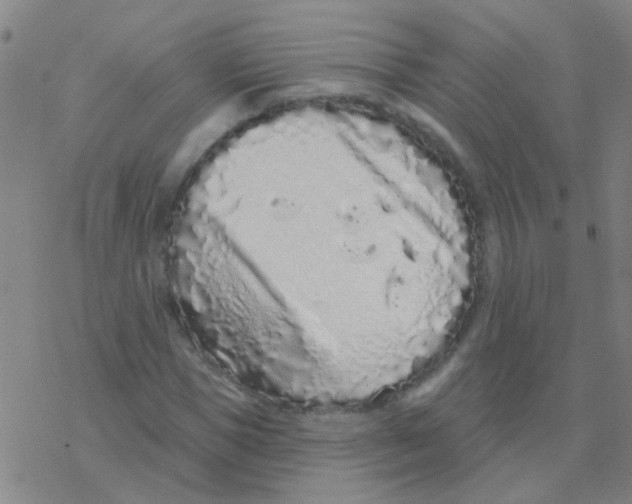 X0000076320921200610272000