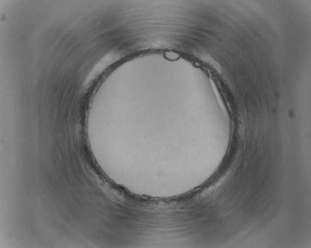 X0000076320922200610272000