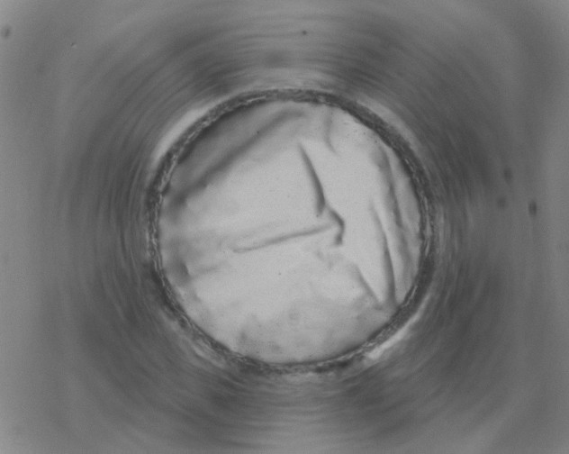 X0000076320925200610272000