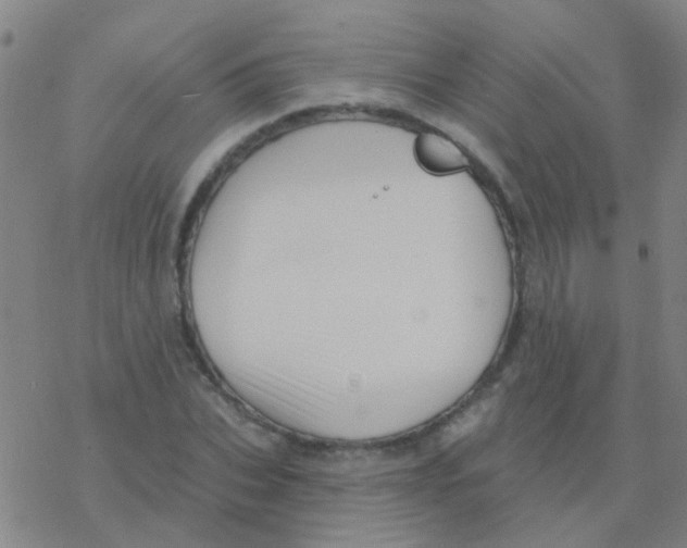 X0000076320927200610272000