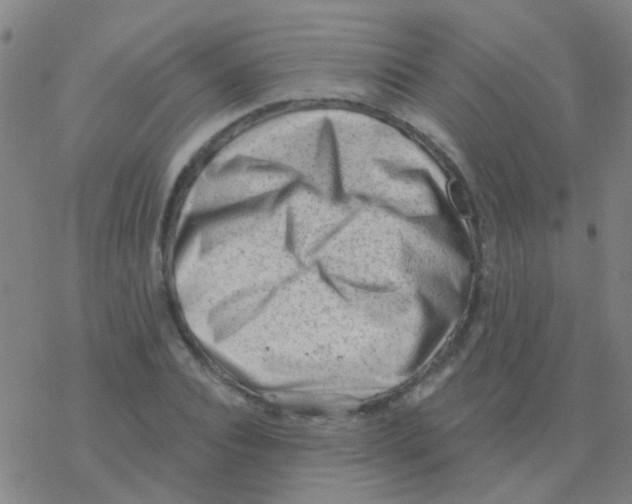 X0000076320928200610272000