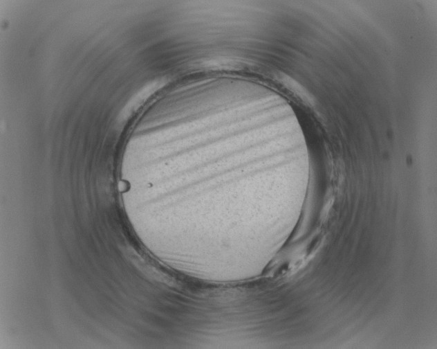 X0000076320930200610272000