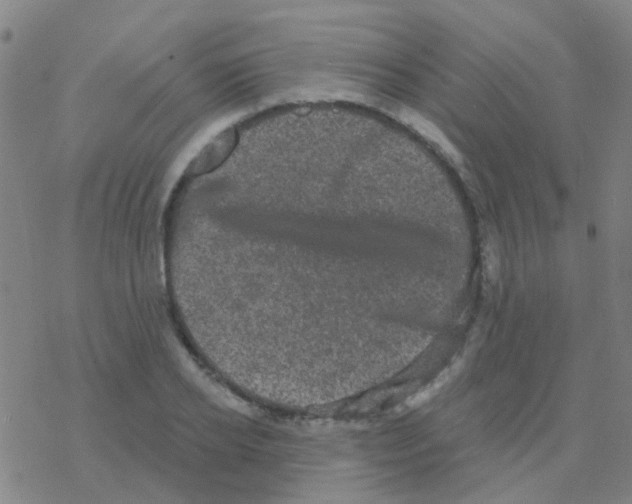 X0000076320934200610272000