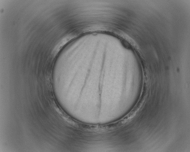 X0000076320937200610272001