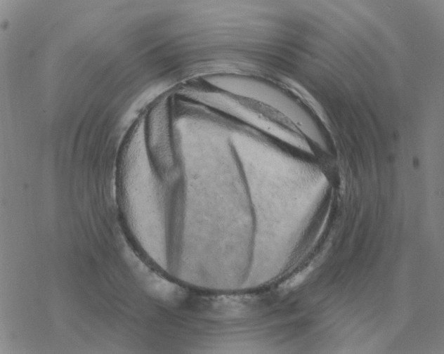 X0000076320938200610272001