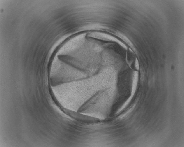 X0000076320939200610272001