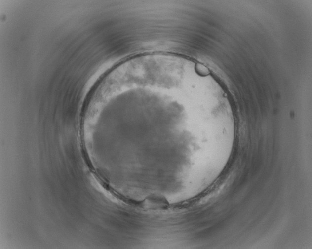 X0000076320941200610272001