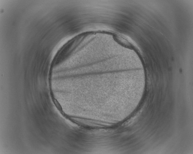 X0000076320943200610272001