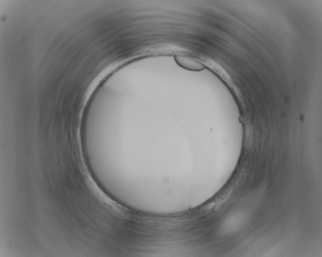 X0000076320947200610272001