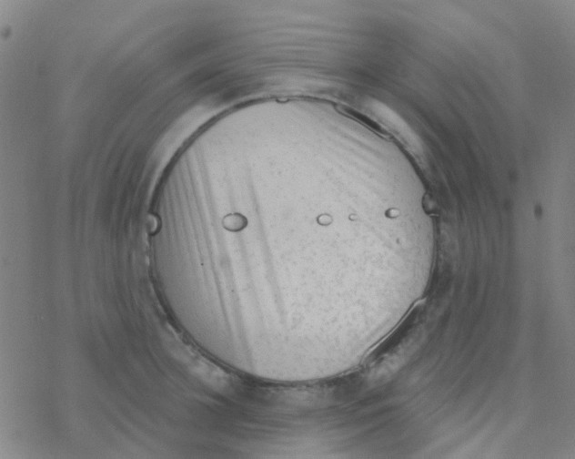 X0000076320948200610272001