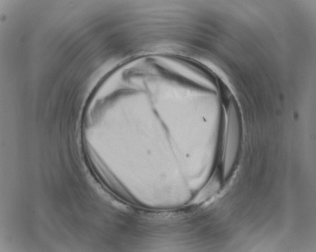 X0000076320949200610272001