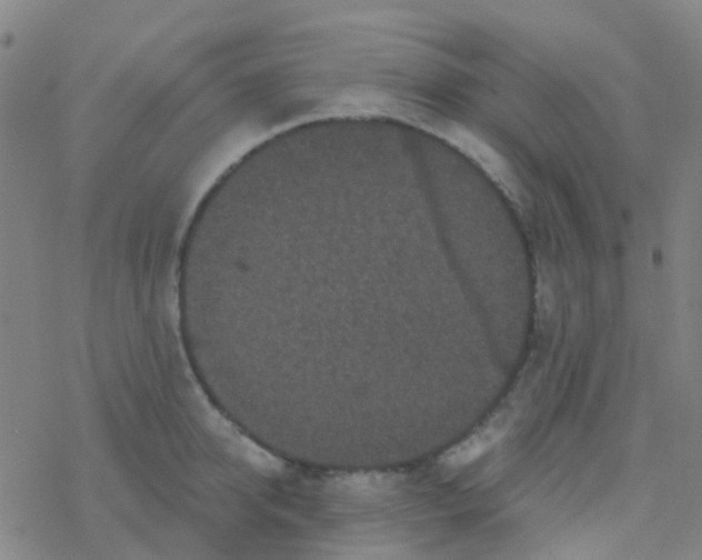 X0000076320950200610272001