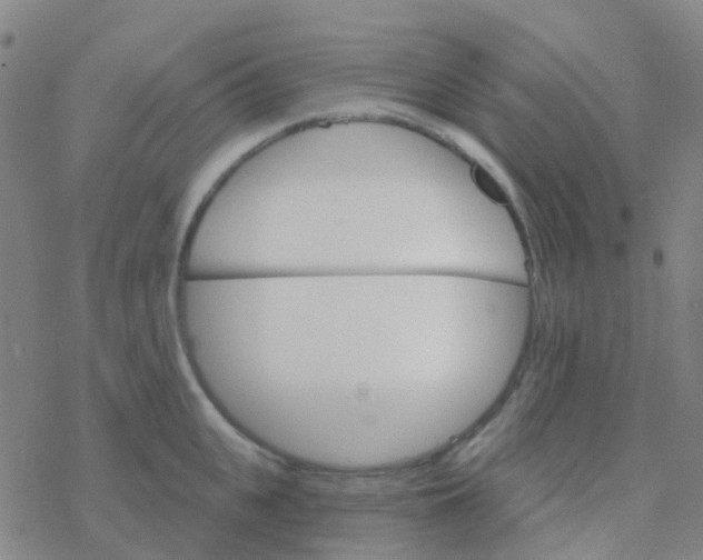 X0000076320951200610272001