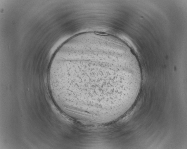 X0000076320952200610272001