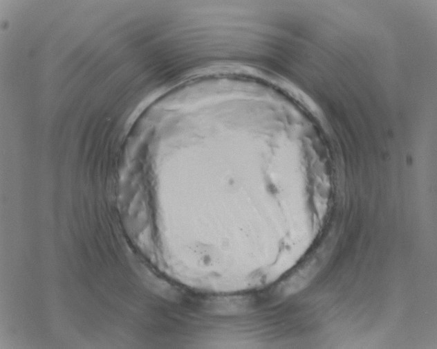 X0000076320953200610272001