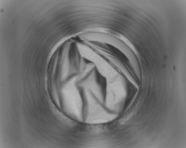 X0000076320955200610272001