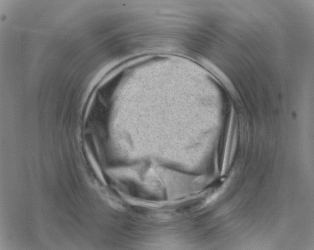 X0000076320956200610272001