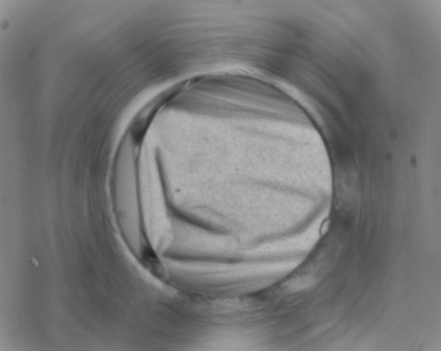 X0000076320959200610272001