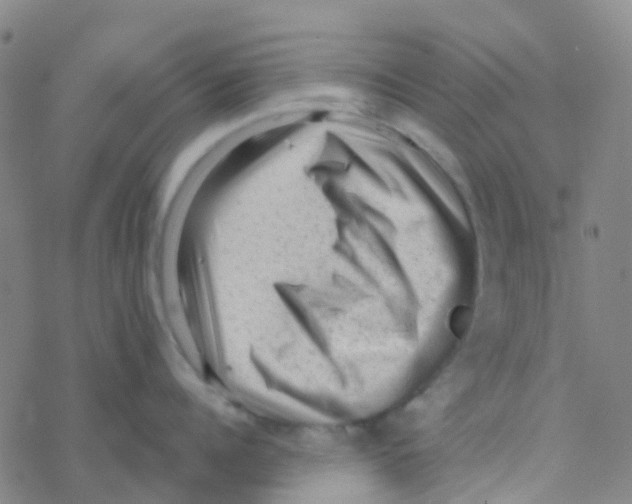 X0000076320960200610272001