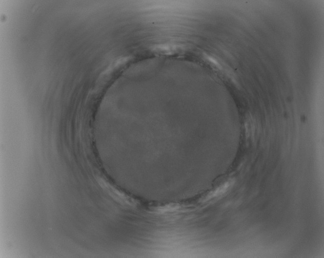 X0000076320961200610272000