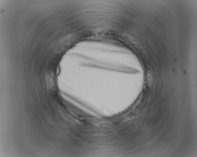 X0000076320963200610272000