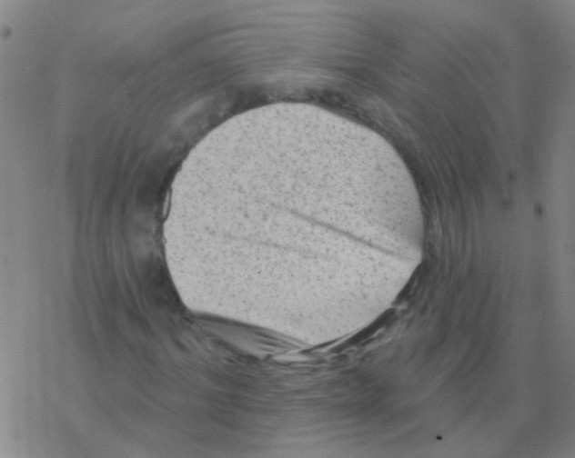 X0000076320964200610272000