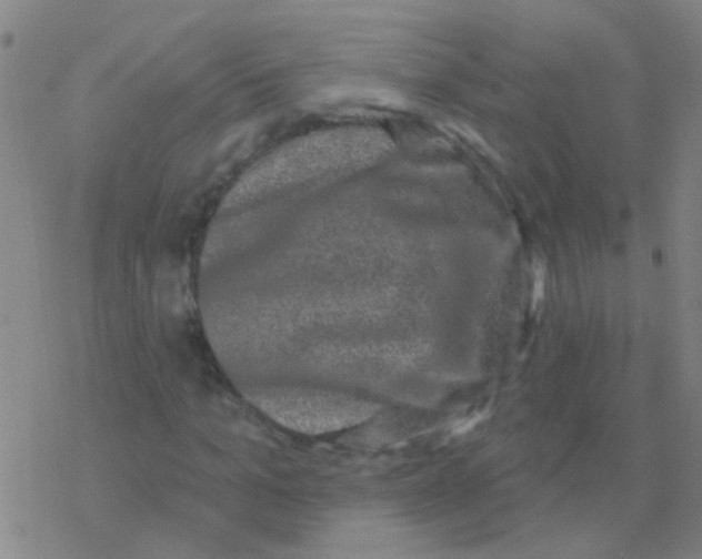 X0000076320965200610272000