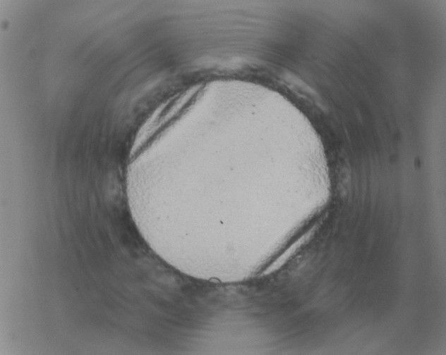 X0000076320966200610272000