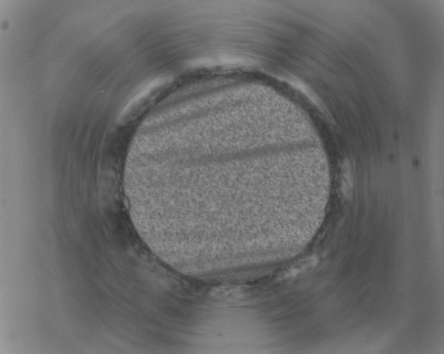 X0000076320967200610272000