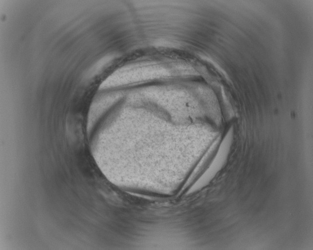 X0000076320968200610272000