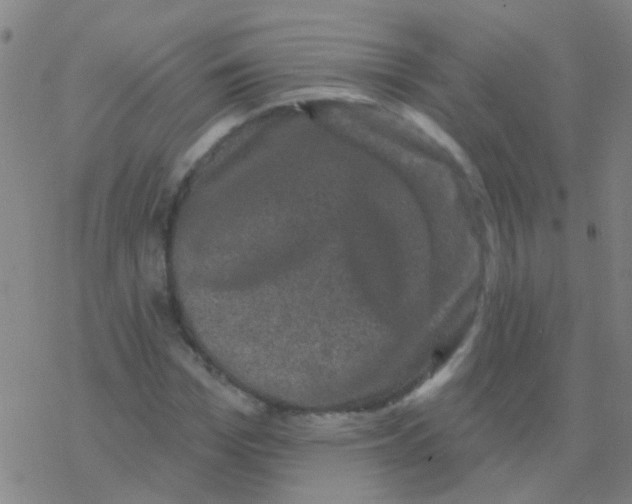 X0000076320969200610272000