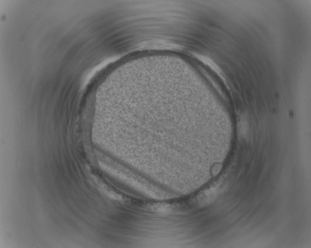 X0000076320971200610272000