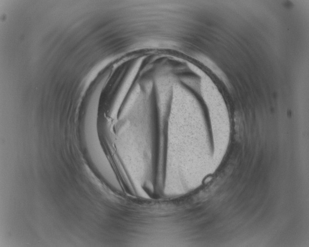 X0000076320972200610272000