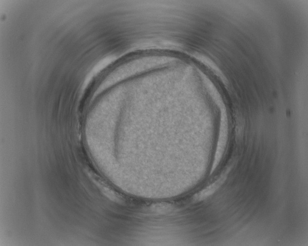 X0000076320974200610272000